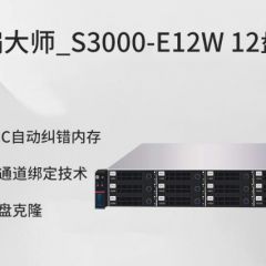 飞编大师_S3000-E12W 机架式12盘位 NAS 万兆网络存储 服务器